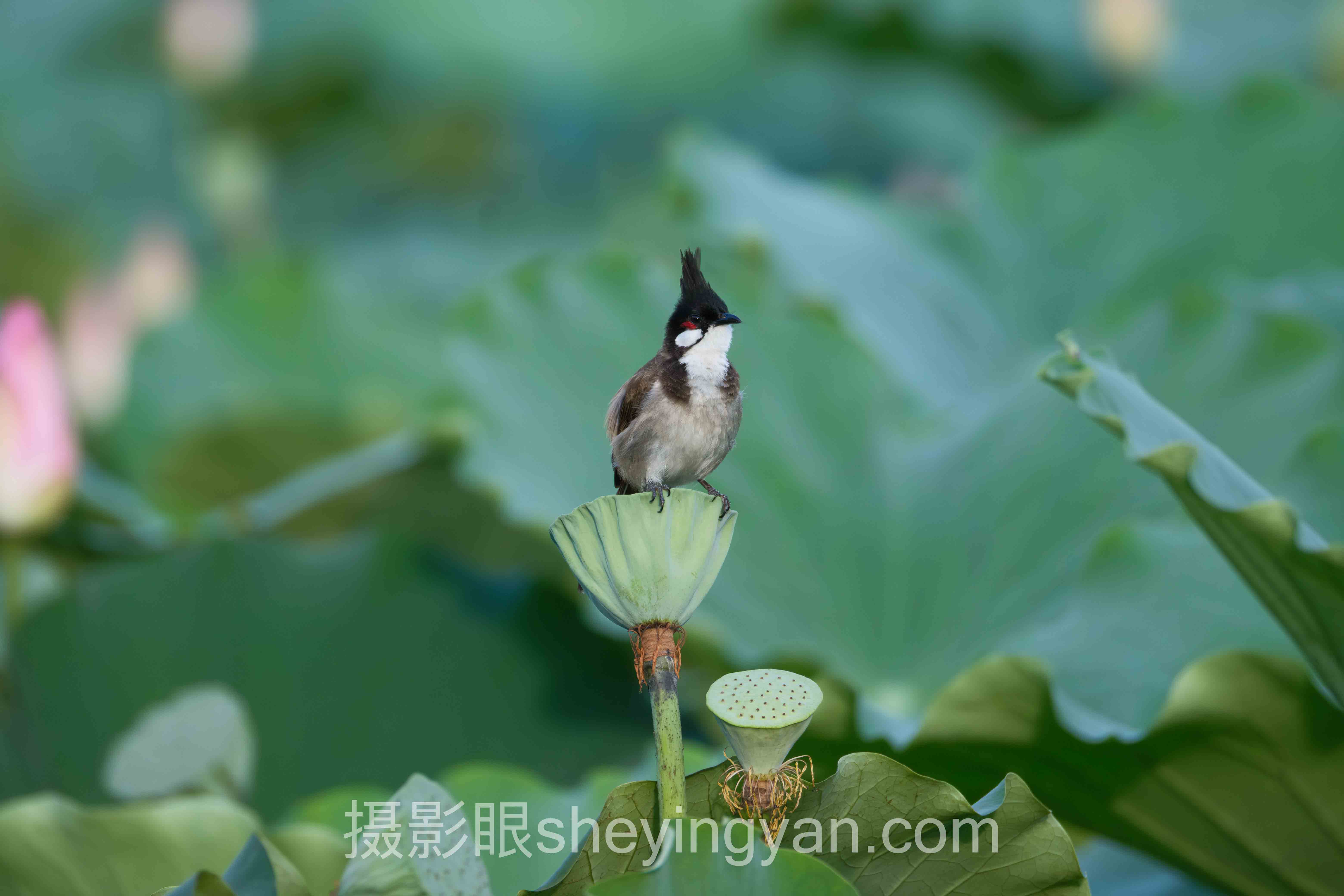 个人风格诊断与定位