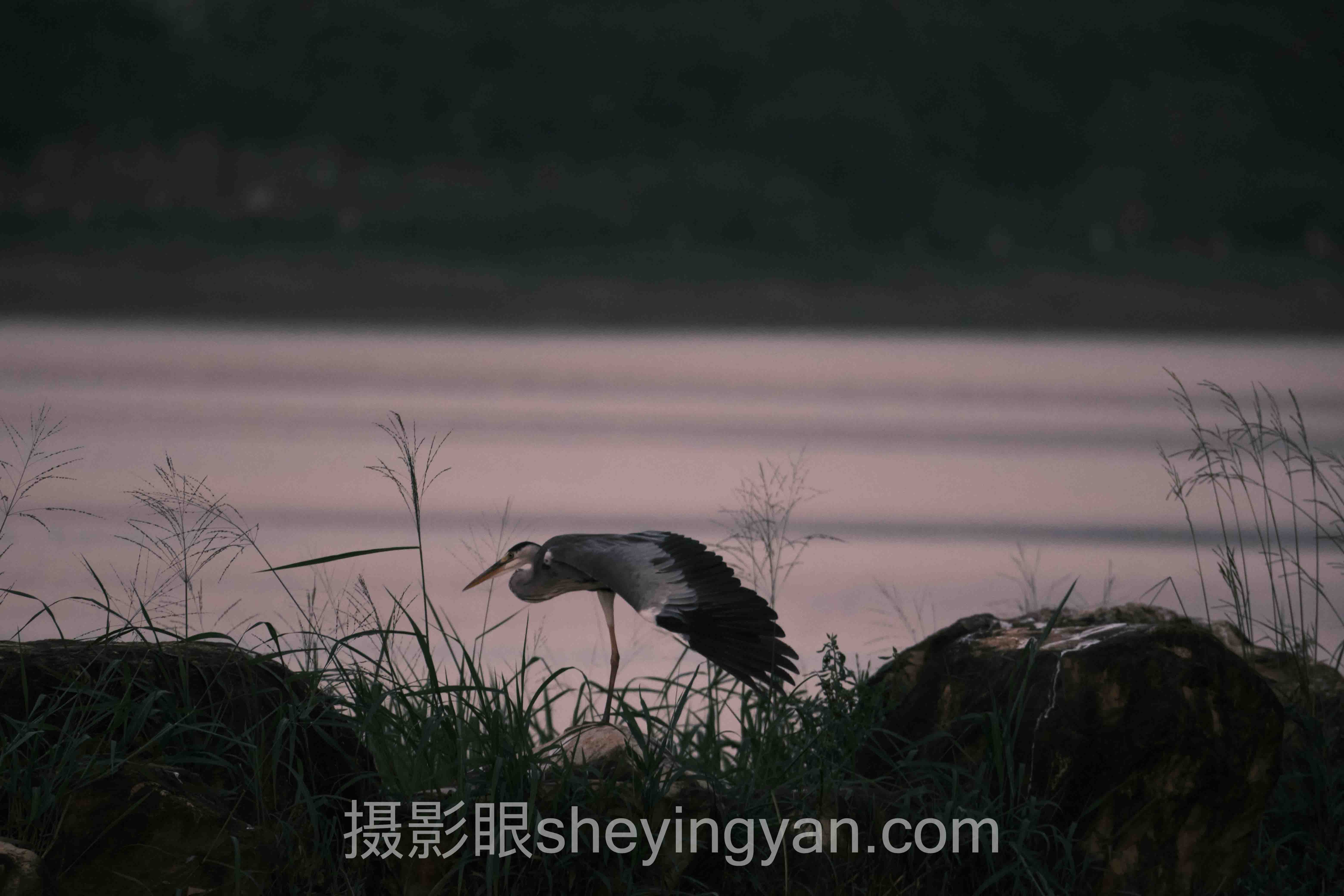 摄影眼月卡是什么深度分析：现状、挑战与未来趋势