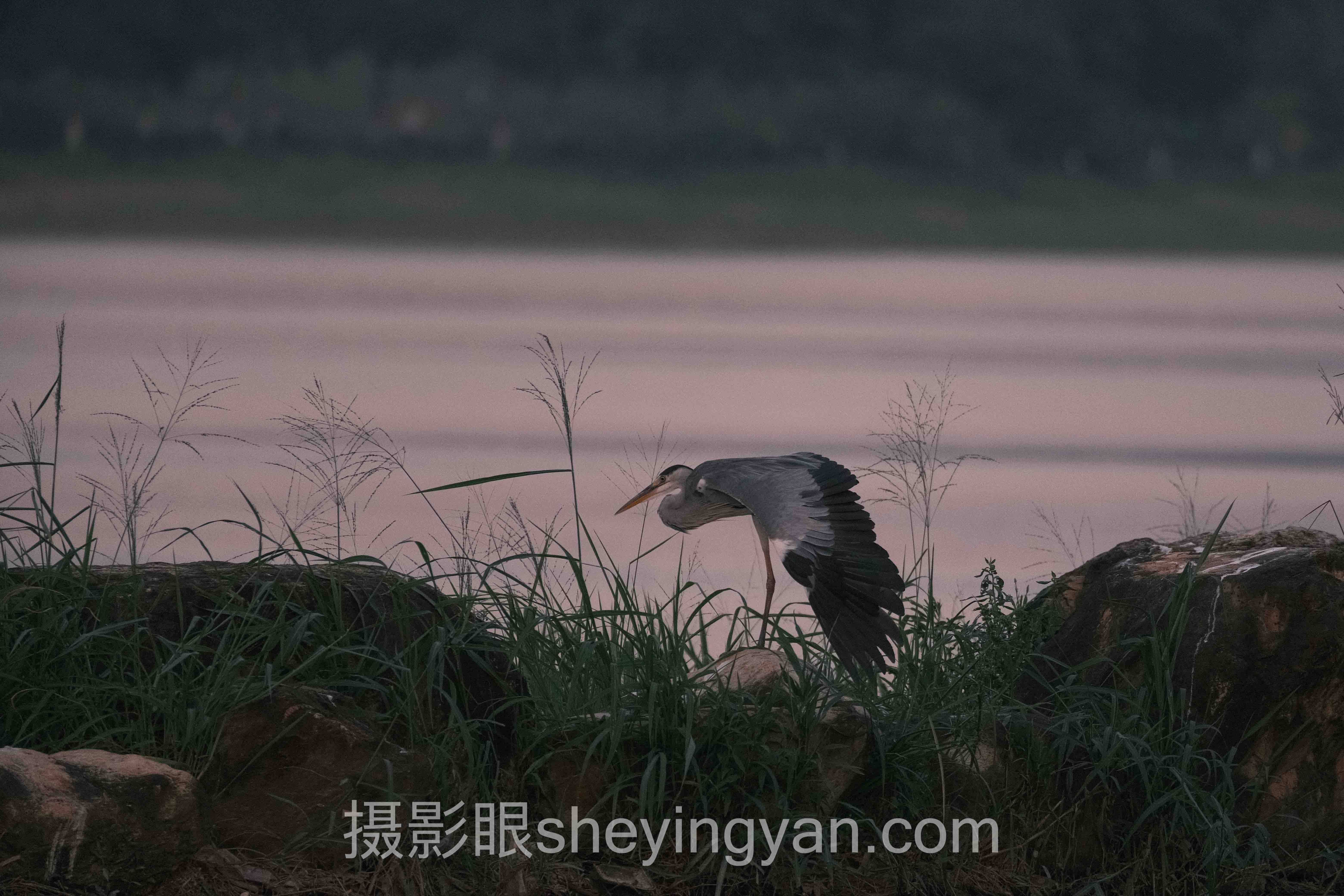 导师深度点评与批注