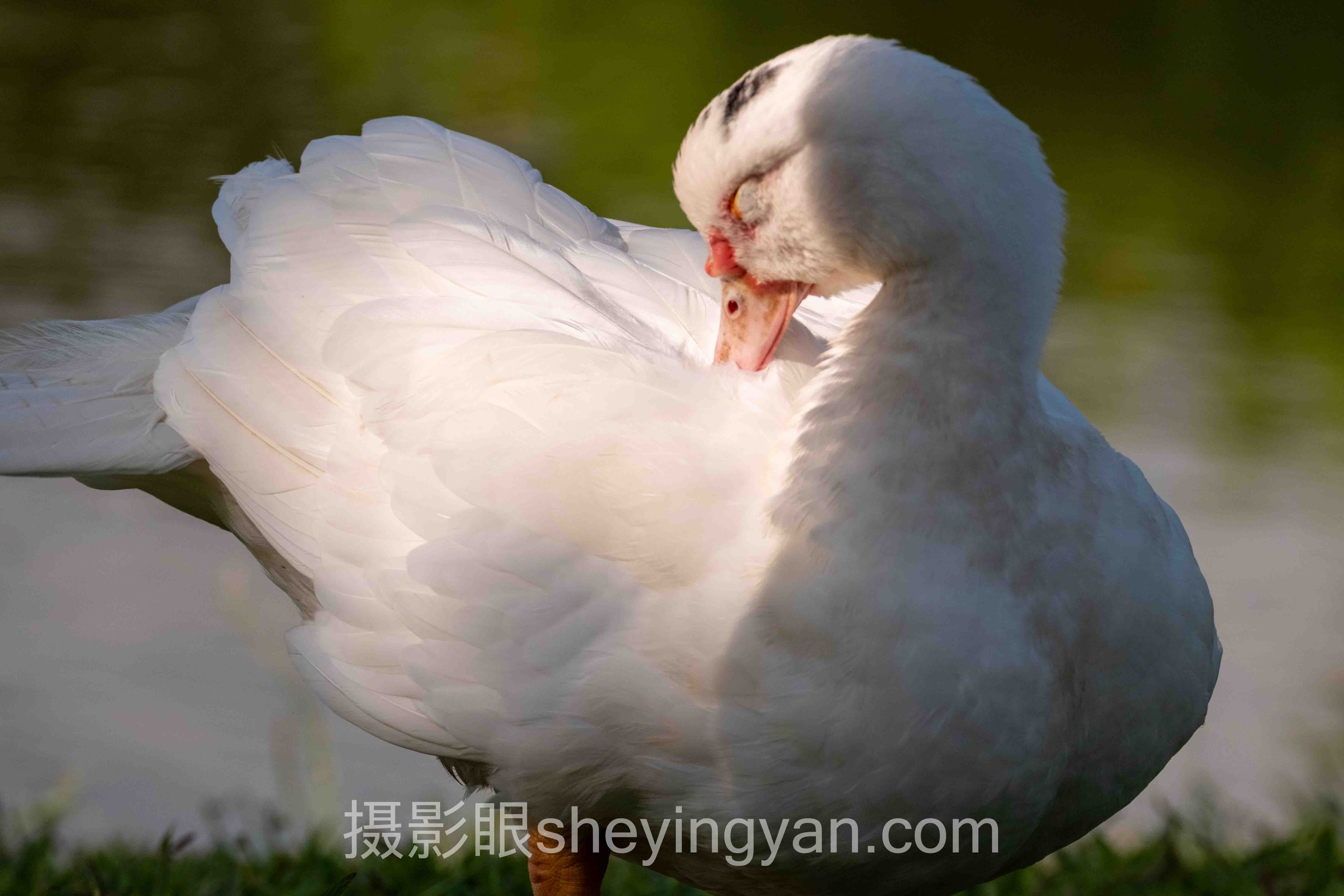 关于景深是什么的5个关键问题，一次说清