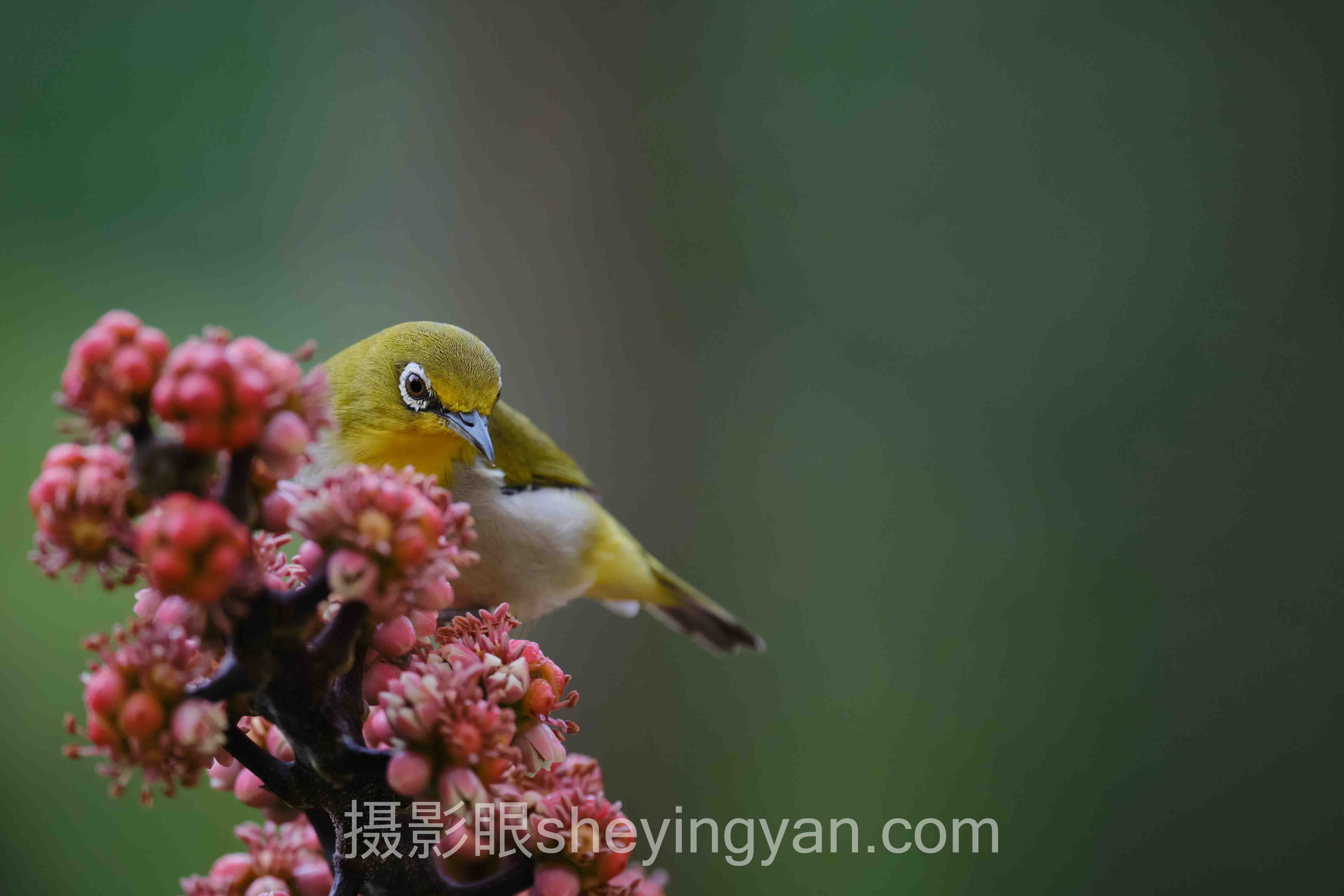 照片打分看什么实战案例拆解:3个成功实践的共同规律